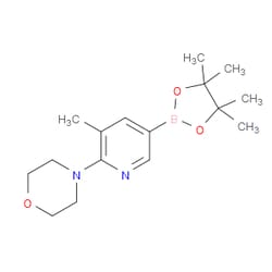 Aobchem&nbsp;5-Methyl-6-(4-morpholinyl)pyridine-3-boronic acid pinacol ester | ≥97% | CAS 1073372-03-8 | C16H25BN2O3 | 1g