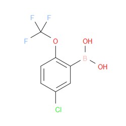 Aobchem&nbsp;5-Chloro-2-(trifluoromethoxy)phenylboronic acid | ≥97% | CAS 870822-78-9 | C7H5BClF3O3 | 10g