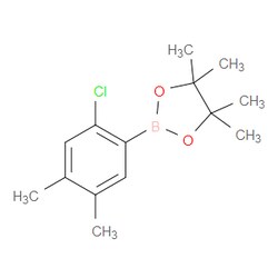 Aobchem&nbsp;2-(2-Chloro-4 5-dimethylphenyl)-4 4 5 5-tetramethyl-1 3 2-dioxaborolane | ≥95% | CAS 1549858-71-0 | C14H20BClO2 | 500mg
