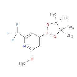 Aobchem&nbsp;2-Methoxy-6-trifluoromethylpyridine-4-boronic acid  pinacol ester | ≥95% | CAS 1150561-66-2 | C13H17BF3NO3 | 250mg