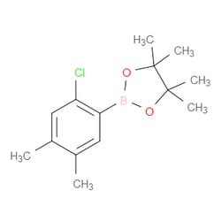 Aobchem&nbsp;2-(2-Chloro-4 5-dimethylphenyl)-4 4 5 5-tetramethyl-1 3 2-dioxaborolane | ≥95% | CAS 1549858-71-0 | C14H20BClO2 | 250mg