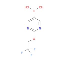Aobchem&nbsp;2-(2 2 2-Trifluoroethoxy)pyrimidine-5-boronic acid | ≥97% | CAS 1401163-85-6 | C6H6BF3N2O3 | 250mg