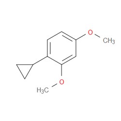 Aobchem&nbsp;1-Cyclopropyl-2 4-dimethoxybenzene | ≥95% | CAS 1158985-15-9 | C11H14O2 | 500mg