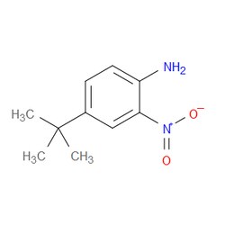 Aobchem&nbsp;4-(Tert-butyl)-2-nitroaniline | ≥97% | CAS 6310-19-6 | C10H14N2O2 | 10g