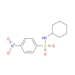 Aobchem&nbsp;N-Cyclohexyl-4-nitrobenzenesulfonamide | 95% | CAS 52374-26-2 | C12H16N2O4S | 1g