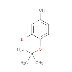Aobchem&nbsp;2-Bromo-1-(1 1-dimethylethoxy)-4-methylbenzene | ≥95% | CAS 960309-86-8 | C11H15BrO | 500mg