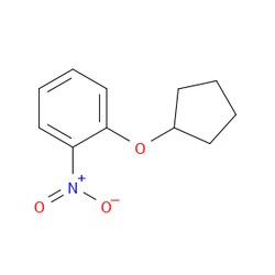 Aobchem&nbsp;1-(Cyclopentyloxy)-2-nitrobenzene | ≥97% | CAS 29026-77-5 | C11H13NO3 | 10g