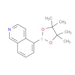 Aobchem&nbsp;5-(4 4 5 5-Tetramethyl-1 3 2-dioxaborolan-2-yl)isoquinoline | ≥97% | CAS 1338914-81-0 | C15H18BNO2 | 25g