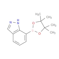 Aobchem&nbsp;1H-Indazole-7-boronic acid pinacol ester | ≥97% | CAS 915411-02-8 | C13H17BN2O2 | 100g
