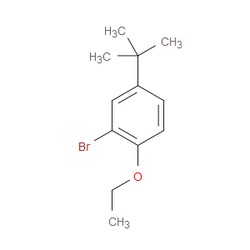 Aobchem&nbsp;2-Bromo-4-(tert-butyl)-1-ethoxybenzene | ≥97% | CAS 1096679-03-6 | C12H17BrO | 100g