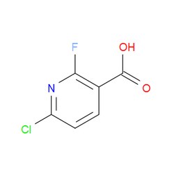 Aobchem&nbsp;6-Chloro-2-fluoro-3-pyridinecarboxylic acid | ≥97% | CAS 1211578-46-9 | C6H3ClFNO2 | 100g
