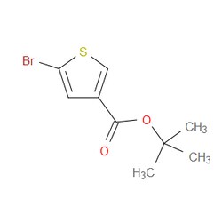 Aobchem&nbsp;Tert-butyl 5-bromothiophene-3-carboxylate |  ≥97% |  CAS 1507295-95-5 |  C9H11BrO2S |  5g