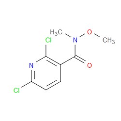 Aobchem&nbsp;2 6-Dichloro-N-methoxy-N-methylpyridine-3-carboxamide |  ≥97% |  CAS 873936-98-2 |  C8H8Cl2N2O2 |  1g