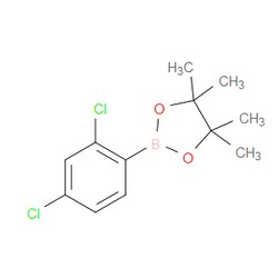 Aobchem&nbsp;2 4-Dichlorophenylboronic acid pinacol ester |  ≥97% |  CAS 68716-50-7 |  C12H15BCl2O2 |  5g