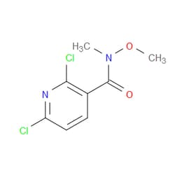 Aobchem&nbsp;2 6-Dichloro-N-methoxy-N-methylpyridine-3-carboxamide |  ≥97% |  CAS 873936-98-2 |  C8H8Cl2N2O2 |  10g