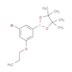 Aobchem&nbsp;3-Bromo-5-propoxyphenylboronic acid  pinacol ester |  ≥97% |  CAS 1218790-36-3 |  C15H22BBrO3 |  10g