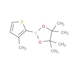 Aobchem&nbsp;3-Methylthiophene-2-boronic acid pinacol ester |  ≥97% |  CAS 885692-91-1 |  C11H17BO2S |  5g