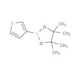 Aobchem&nbsp;Thiophene-3-boronic acid pinacol ester |  ≥95% |  CAS 214360-70-0 |  C10H15BO2S |  25g