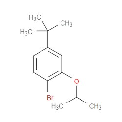 Aobchem&nbsp;1-Bromo-4-(tert-butyl)-2-isopropoxybenzene | 95% | CAS 1369869-88-4 | C13H19BrO | 5g