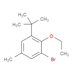 Aobchem&nbsp;1-Bromo-3-(tert-butyl)-2-ethoxy-5-methylbenzene | 95% | CAS 2921852-19-7 | C13H19BrO | 1g