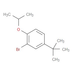 Aobchem&nbsp;2-Bromo-4-(tert-butyl)-1-isopropoxybenzene |  ≥95% |  CAS 223768-39-6 |  C13H19BrO |  5g