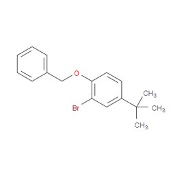 Aobchem&nbsp;1-(Benzyloxy)-2-bromo-4-(tert-butyl)benzene |  ≥97% |  CAS 52458-11-4 |  C17H19BrO |  500mg