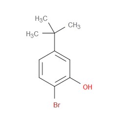 Aobchem&nbsp;2-Bromo-5-(tert-butyl)phenol |  ≥95% |  CAS 20942-68-1 |  C10H13BrO |  10g
