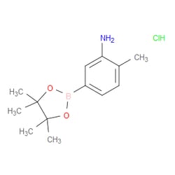 Aobchem&nbsp;3-Amino-4-methylphenylboronic acid  pinacol ester  HCl |  ≥97% |  CAS 850567-52-1 |  C13H21BClNO2 |  5g