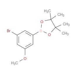 Aobchem&nbsp;3-Bromo-5-methoxyphenylboronic acid pinacol ester |  ≥97% |  CAS 401797-04-4 |  C13H18BBrO3 |  5g