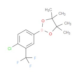Aobchem&nbsp;2-(4-Chloro-3-(trifluoromethyl)phenyl)-4 4 5 5-tetramethyl-1 3 2-dioxaborolane |  ≥97% |  CAS 445303-09-3 |  C13H15BClF3O2 |  5g