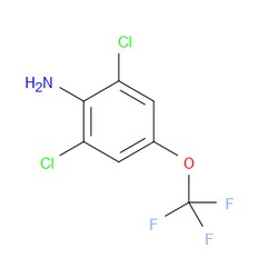 Aobchem&nbsp;2 6-Dichloro-4-(trifluoromethoxy)aniline |  ≥97% |  CAS 99479-66-0 |  C7H4Cl2F3NO |  25g