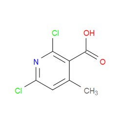 Aobchem&nbsp;2 6-Dichloro-4-methylnicotinic acid |  ≥97% |  CAS 62774-90-7 |  C7H5Cl2NO2 |  25g