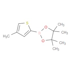 Aobchem&nbsp;4-Methylthiophene-2-boronic acid  pinacol ester |  ≥97% |  CAS 635305-48-5 |  C11H17BO2S |  10g
