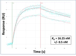 Aviva Systems Biology Corp SLC25A28 Antibody - C-terminal region (ARP44054_P050)