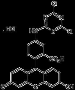 AdipoGen 5-DTAF hydrochloride,Chemical. CAS: 21811-74-5, Quantity: Each