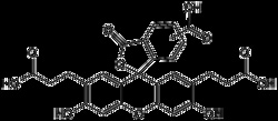 AdipoGen BCECF acid,Chemical. CAS: 85138-49-4, Quantity: Each of 1