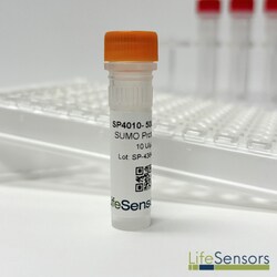 LifeSensors SUMO Protease 1 250 Units, Quantity: Each of 1