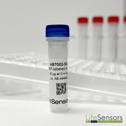 LifeSensors HRP-labeled Anti-SUMO/SUMOstar Antibody 50µg, Quantity: Each