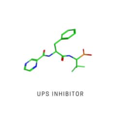 LifeSensors MG-132, proteasome inhibitor 10mg, Quantity: Each of 1