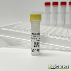 LifeSensors Tandem Ubiquitin Binding Entities (TUBE1) Biotin 200µg, Quantity: