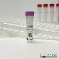 LifeSensors Tandem Ubiquitin Binding Entities (K63 TUBE) Biotin 50µg, Quantity: