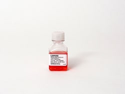 Lonza Walkersville Human Cryopreserved Pooled Donor Hepatocyte Thawing