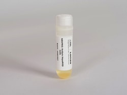 Lonza Walkersville&nbsp;NoSpin HepaRG (8.0M cells/vial)