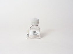 Lonza Walkersville HepaRG Basal Medium