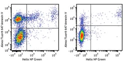 Biolegend Alexa Fluor 647 Annexin V, Quantity: Each of 1