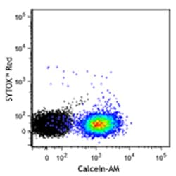 Biolegend Calcein-AM, Quantity: Each of 1