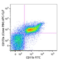 Biolegend APC/Cyanine7 anti-mouse CD172a (SIRPα), Quantity: Each of 1