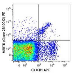 Biolegend PE anti-mouse MERTK (Mer), Quantity: Each of 1