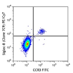 Biolegend PE/Cyanine7 anti-human Siglec-8, Quantity: Each of 1