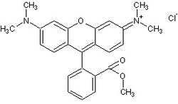 Abcam Tetramethylrhodamine, methyl ester (TMRM), 10MG, Quantity: Each of